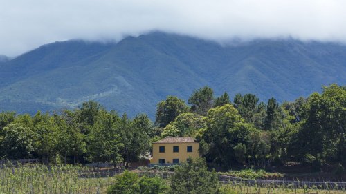 Blandy's Madeira
